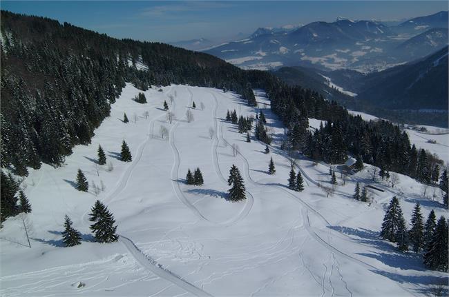 Cross country skiing in Elsbethen